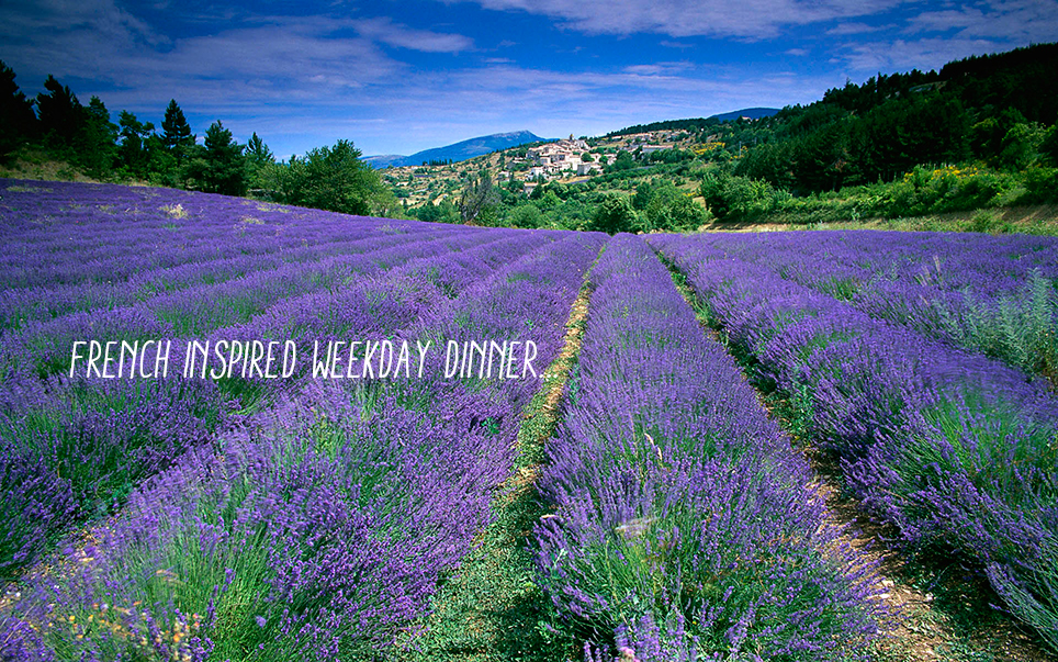field_of_lavender_in_Provence